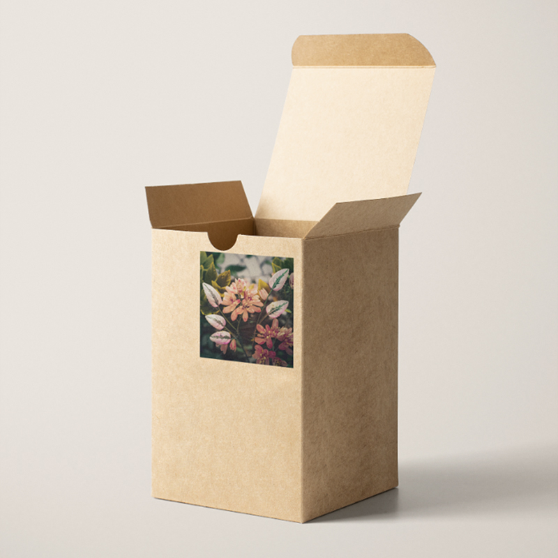 97+ Best Face Wash Packaging Design Ideas 2026