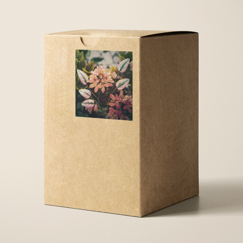 97+ Best Face Wash Packaging Design Ideas 2026