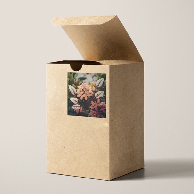 97+ Best Face Wash Packaging Design Ideas 2026